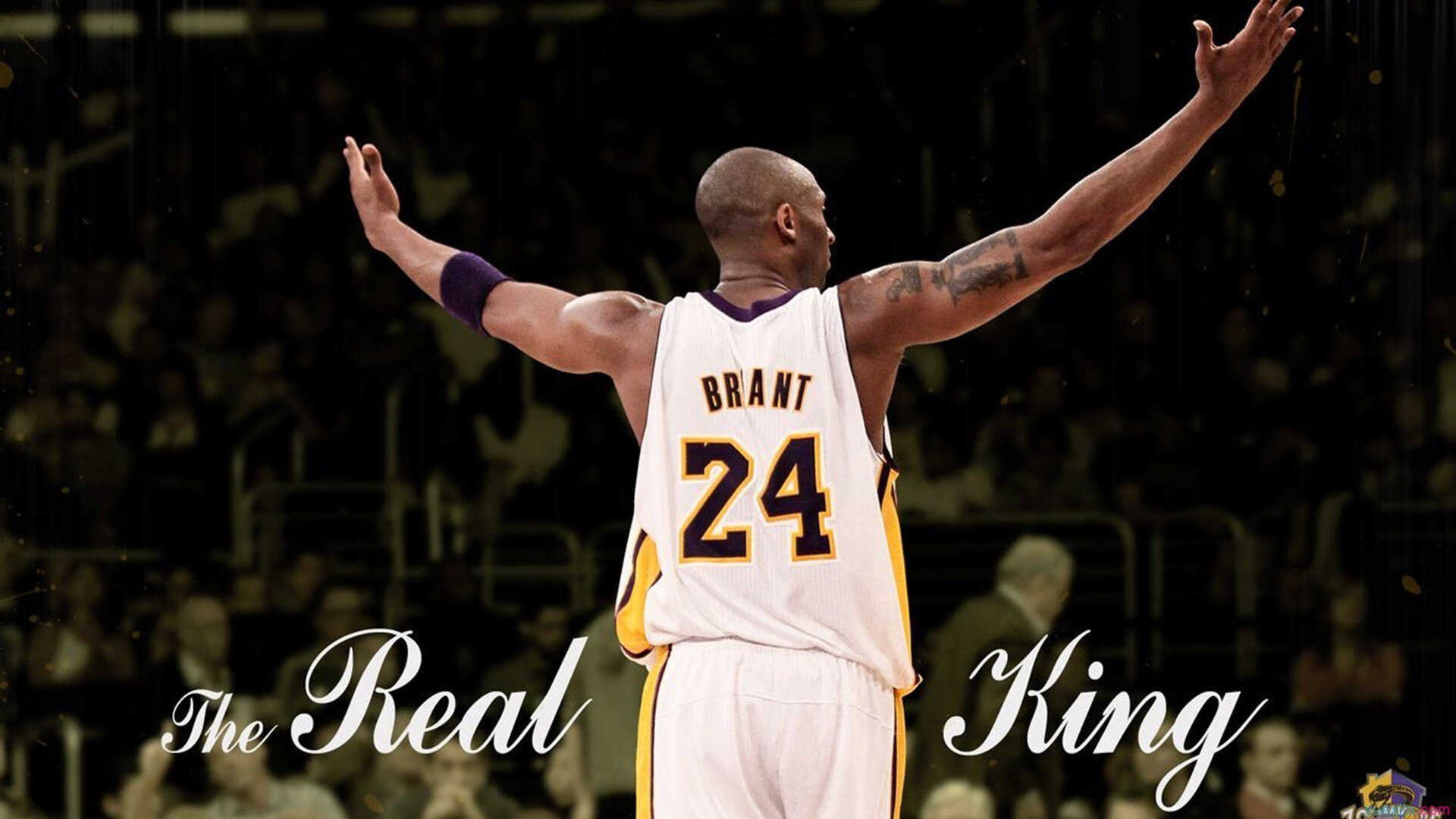 巡回赛观众席气氛持续升温